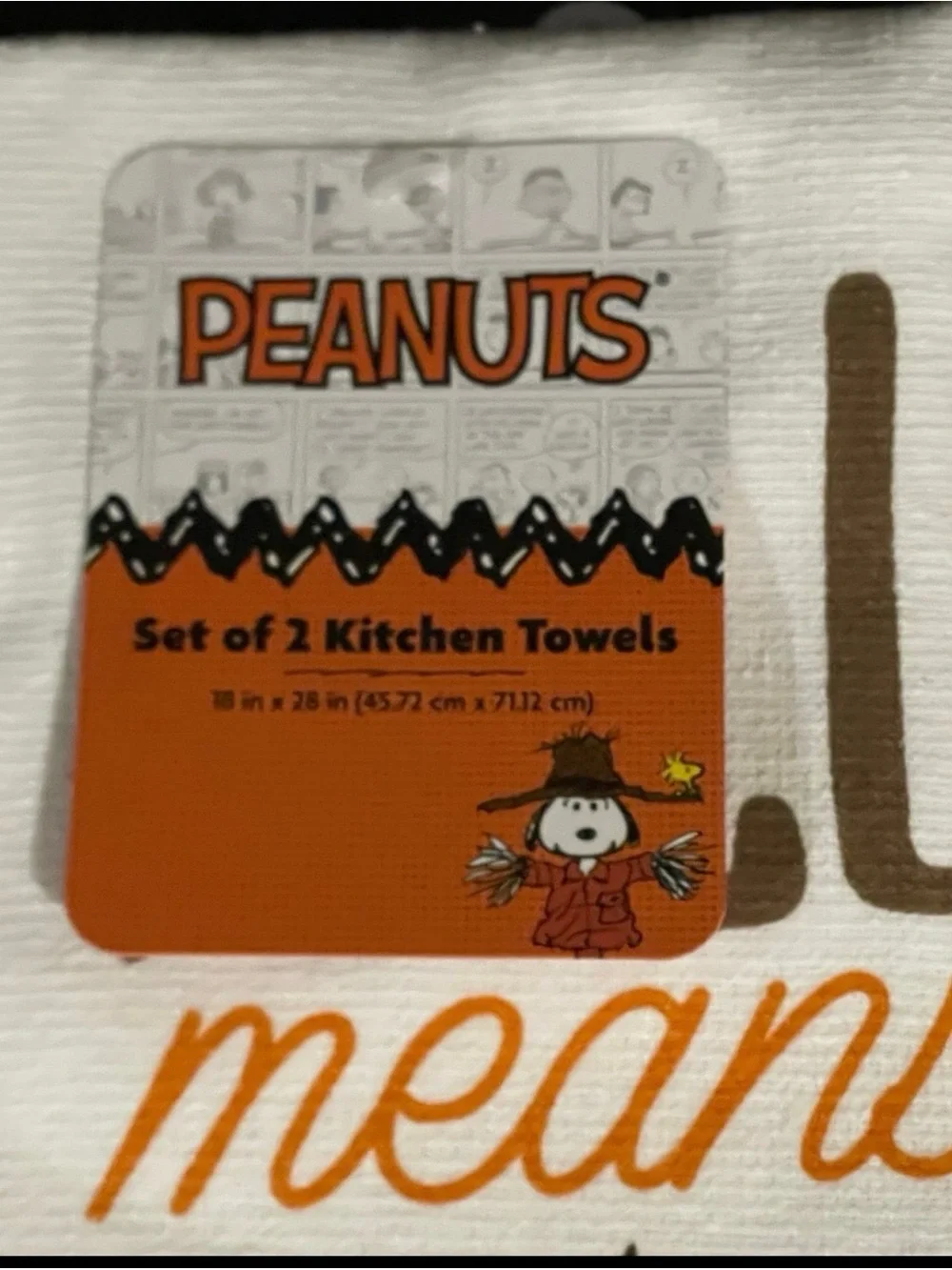 Peanuts Football Kitchen Towels, Set of 2 FALL MEANS FOOTBALL